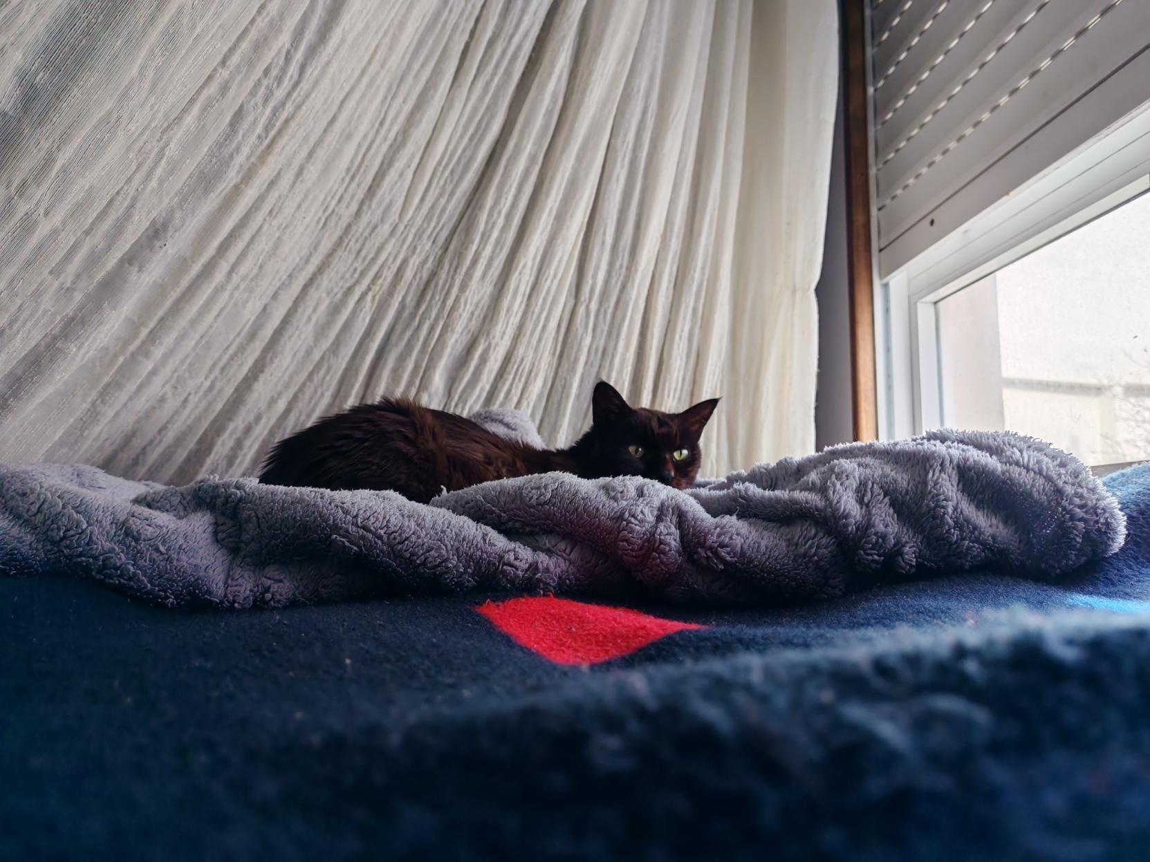 Sorry, no caption provided by author